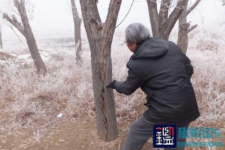 新疆农林牧业司法鉴定中心 守护农林牧业公平正义的专业力量